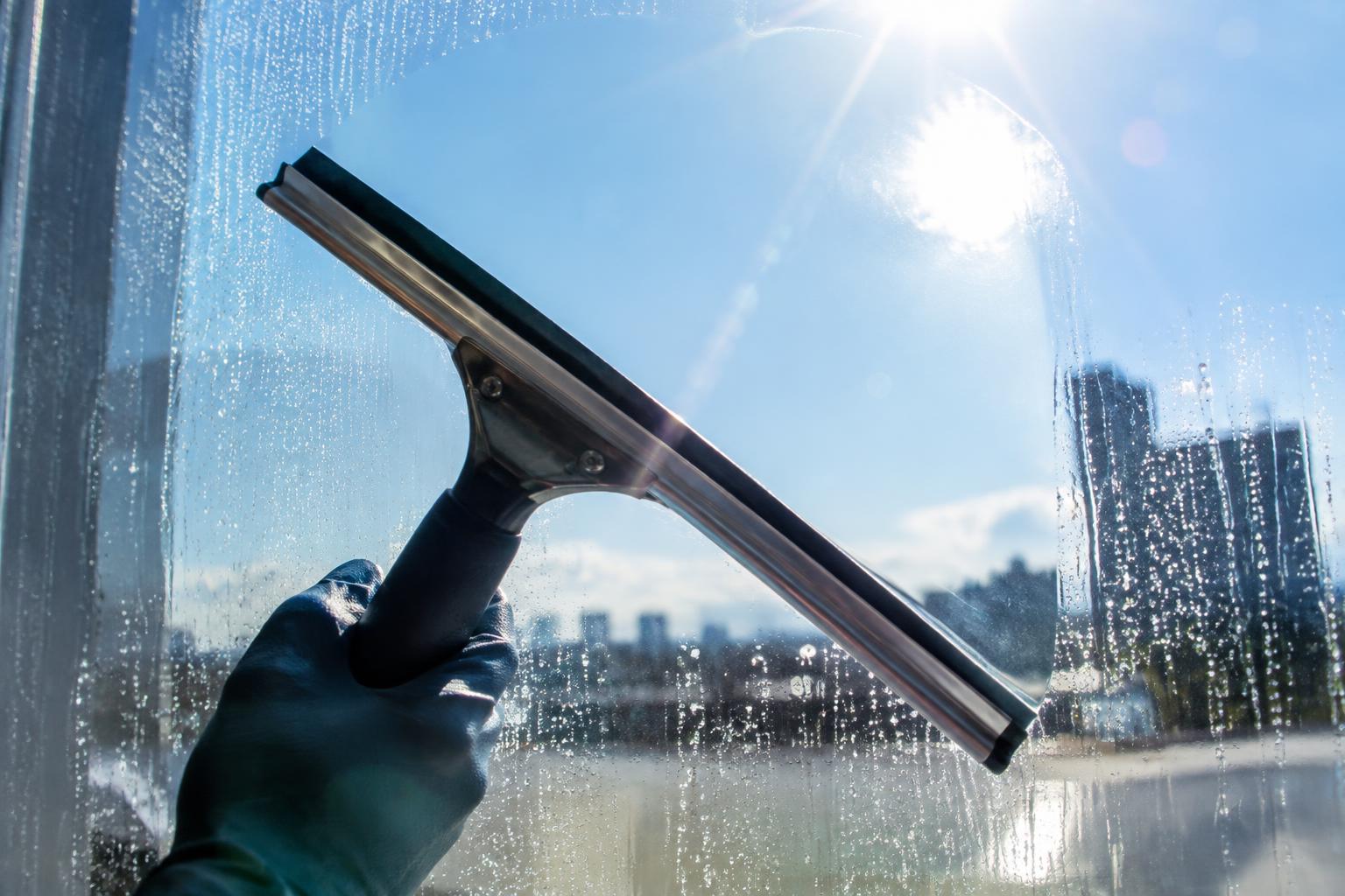 Window Washing